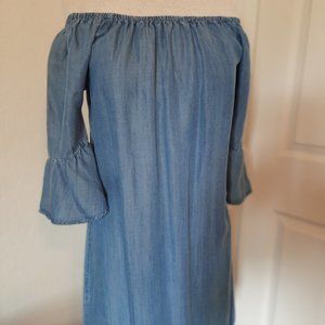 Chelsea and Theodore Denim Dress